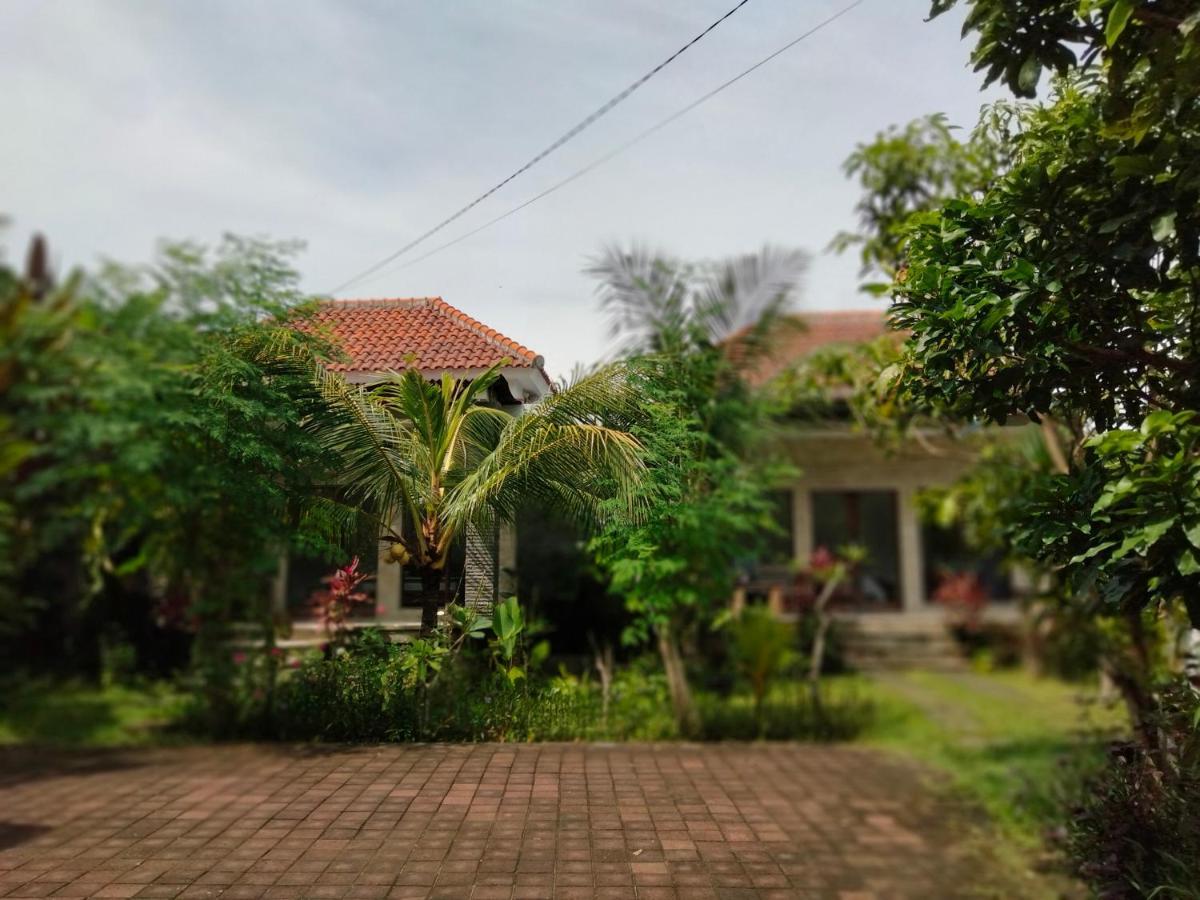 Pier26 Bali Homestay Nusa Dua  Exteriér fotografie