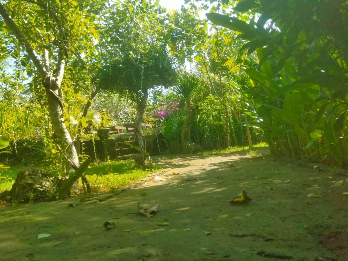 Pier26 Bali Homestay Nusa Dua  Exteriér fotografie